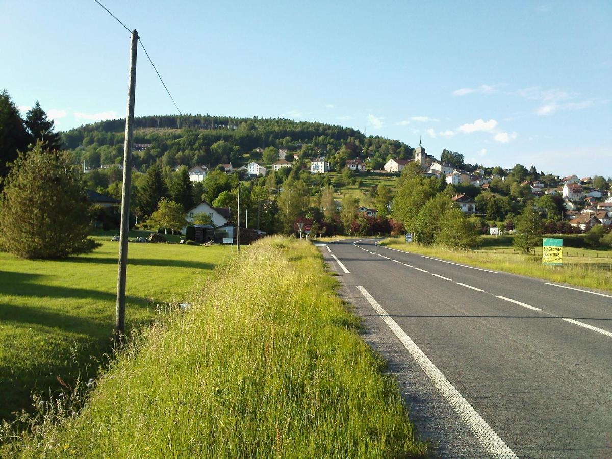 Studio D'Hotes A 10 Km De Gerardmer Ле-Толі Екстер'єр фото