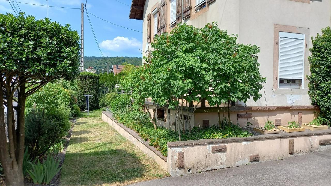Studio D'Hotes A 10 Km De Gerardmer Ле-Толі Екстер'єр фото